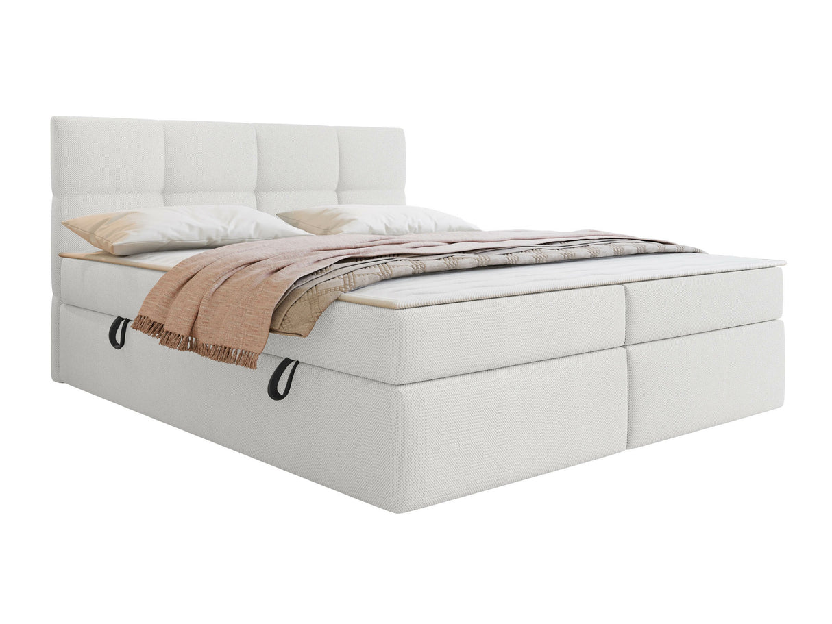 Continental lova 541393