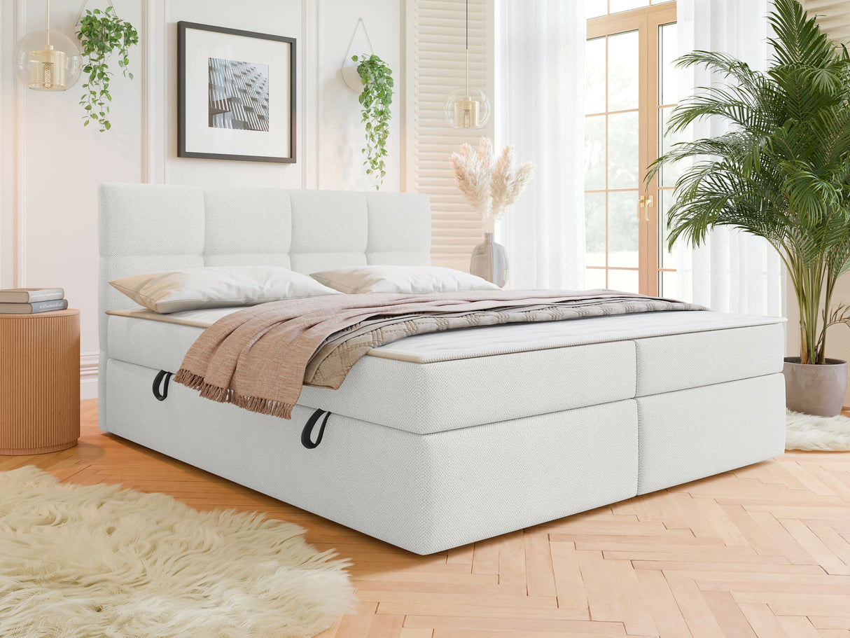 Continental lova 541393