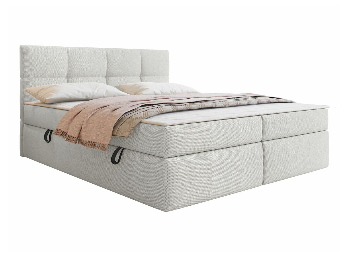 Continental lova 541393