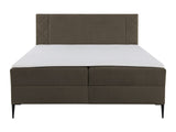 Continental lova 640907