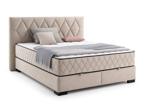 Continental lova 641773