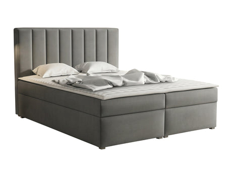 Continental lova 320788 4619127