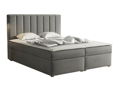 Continental lova 320788 4619133