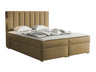 Continental lova 320788 4619136