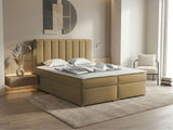 Continental lova 320788 4619141