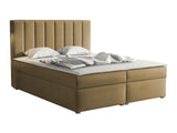 Continental lova 320788 4619145