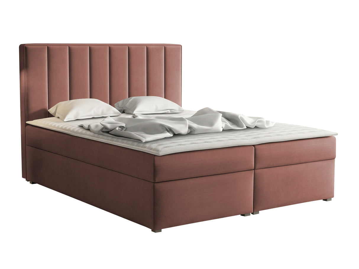 Continental lova 320788 4619148