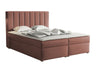Continental lova 320788 4619154