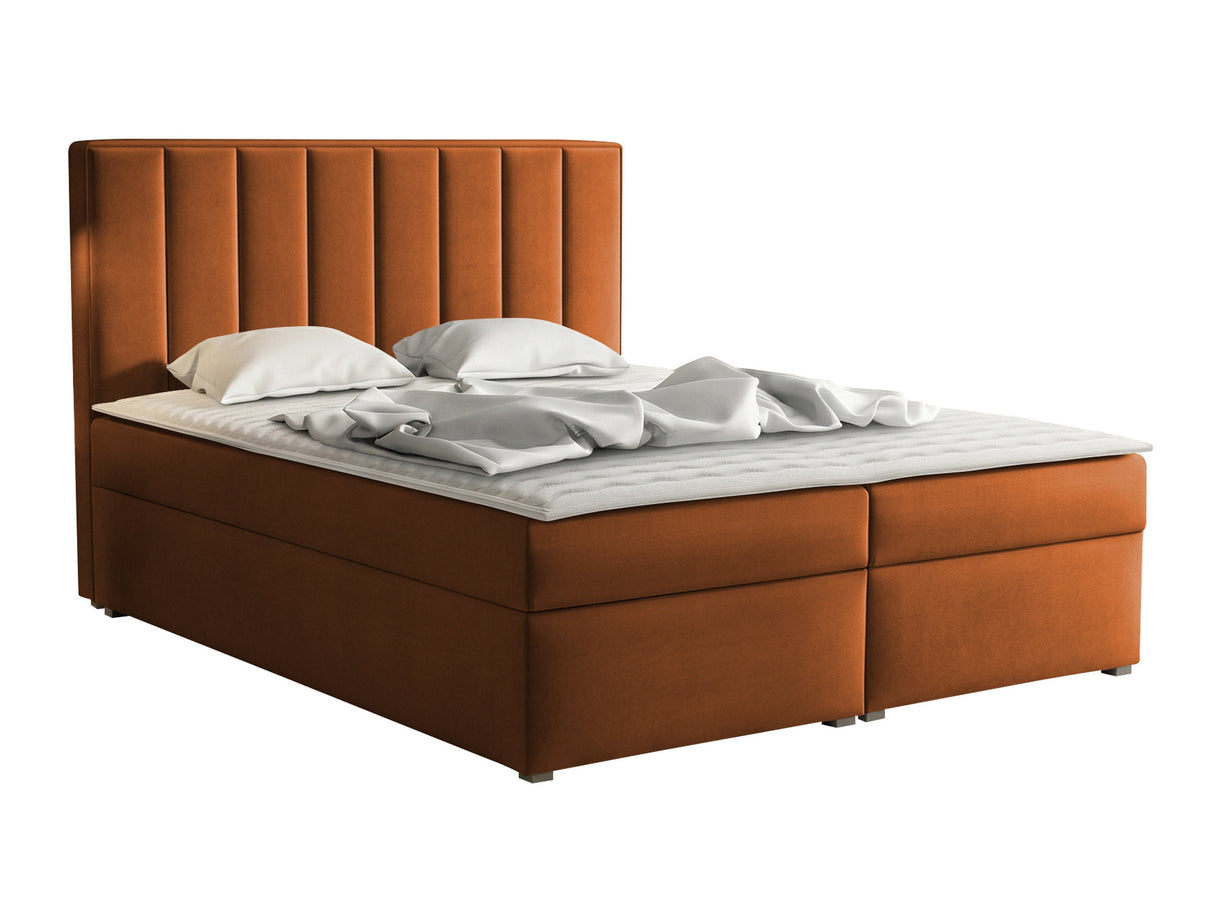 Continental lova 320788 4619174