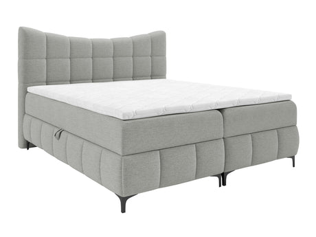 Continental lova 565585 4626857
