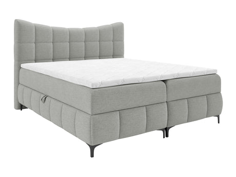 Continental lova 565585 4626864