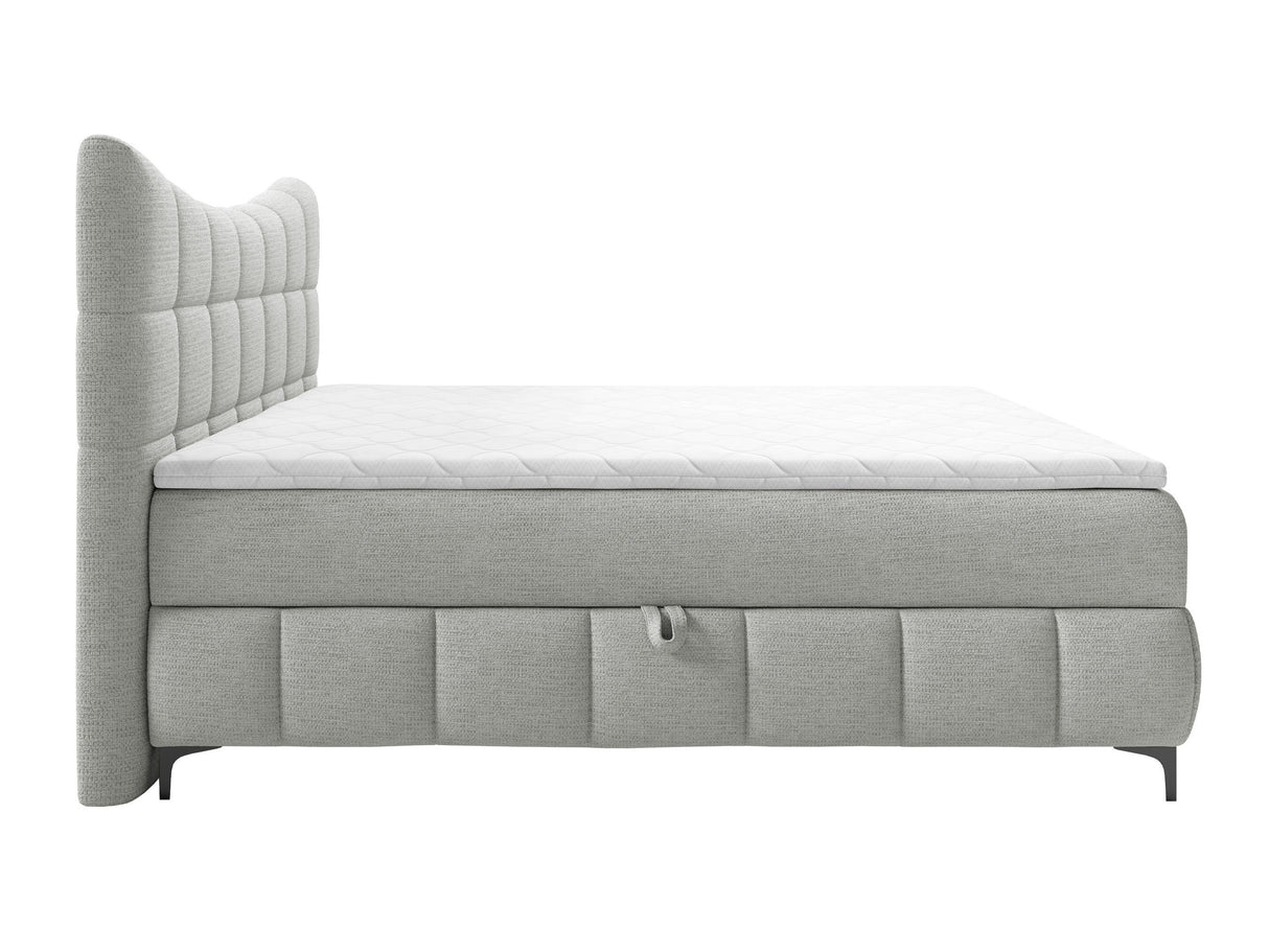 Continental lova 565585 4626866