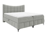 Continental lova 565585 4626871