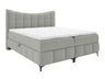 Continental lova 565585 4626878