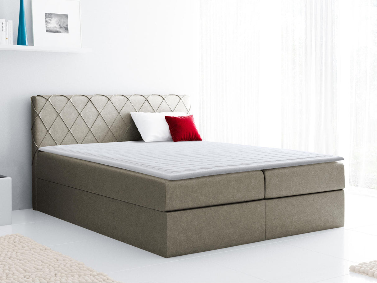 Continental lova 115264 4635113