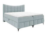Continental lova 565585 4642560