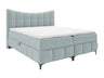 Continental lova 565585 4642560