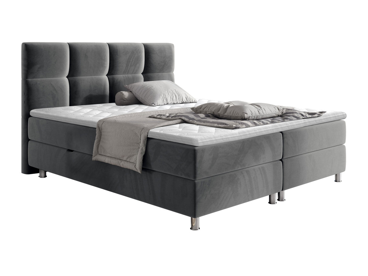 Continental lova 206691 4650269