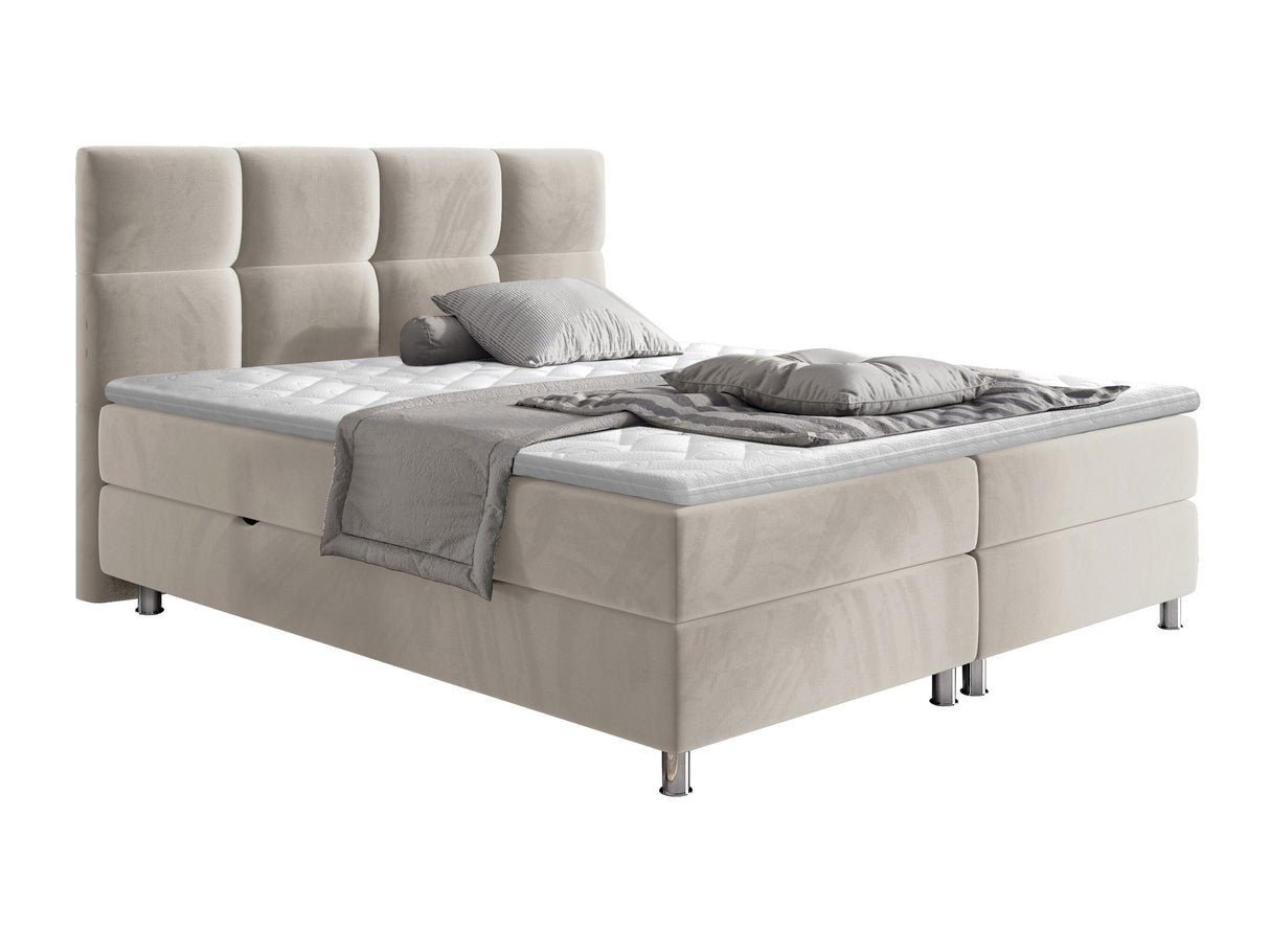 Continental lova 206691 4650289
