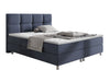 Continental lova 206691 4650309