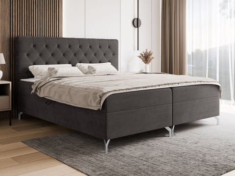 Continental lova 650101