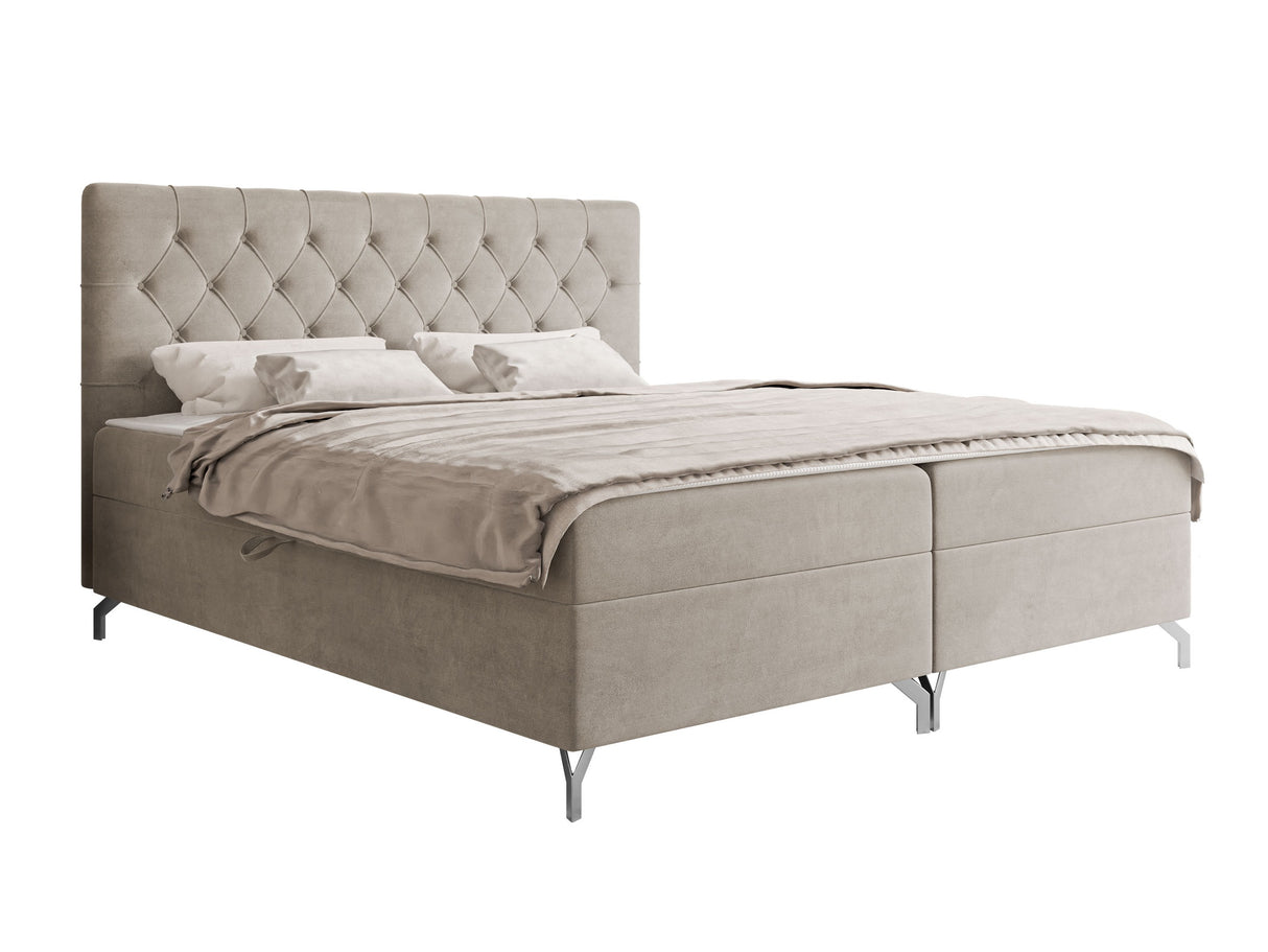 Continental lova 650101
