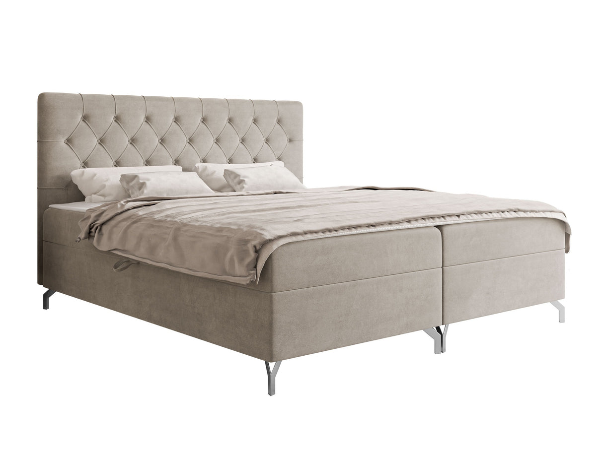 Continental lova 650101