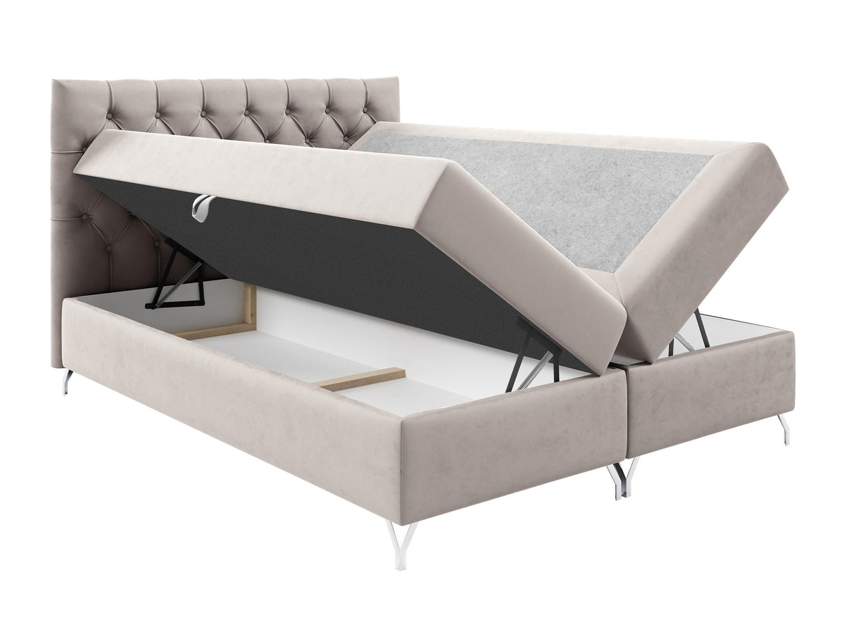 Continental lova 650101