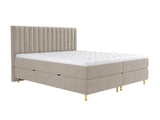 Continental lova 294981 4796757