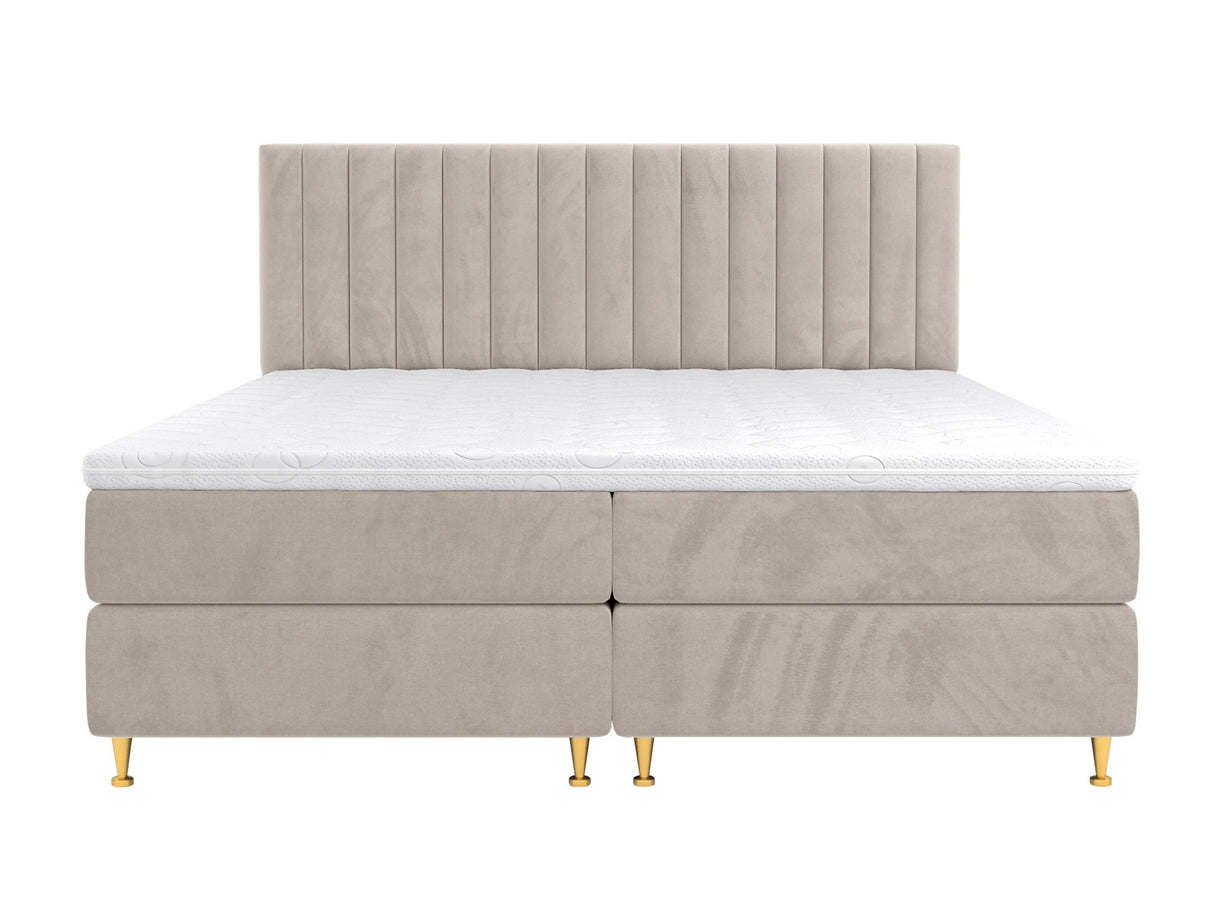 Continental lova 294981 4796758