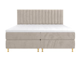 Continental lova 294981 4796760