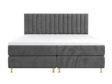 Continental lova 294981 4796786