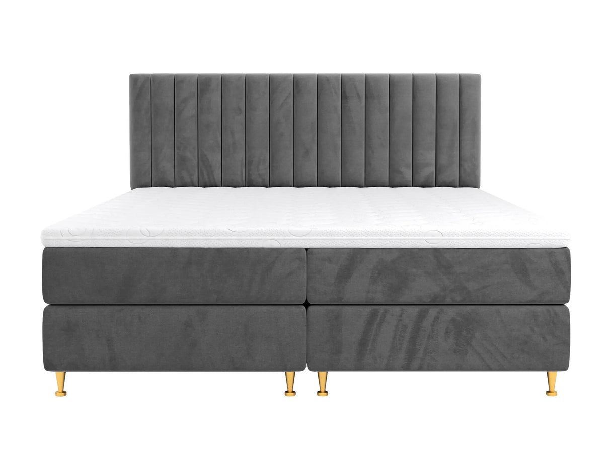 Continental lova 294981 4796788