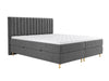 Continental lova 294981 4796789