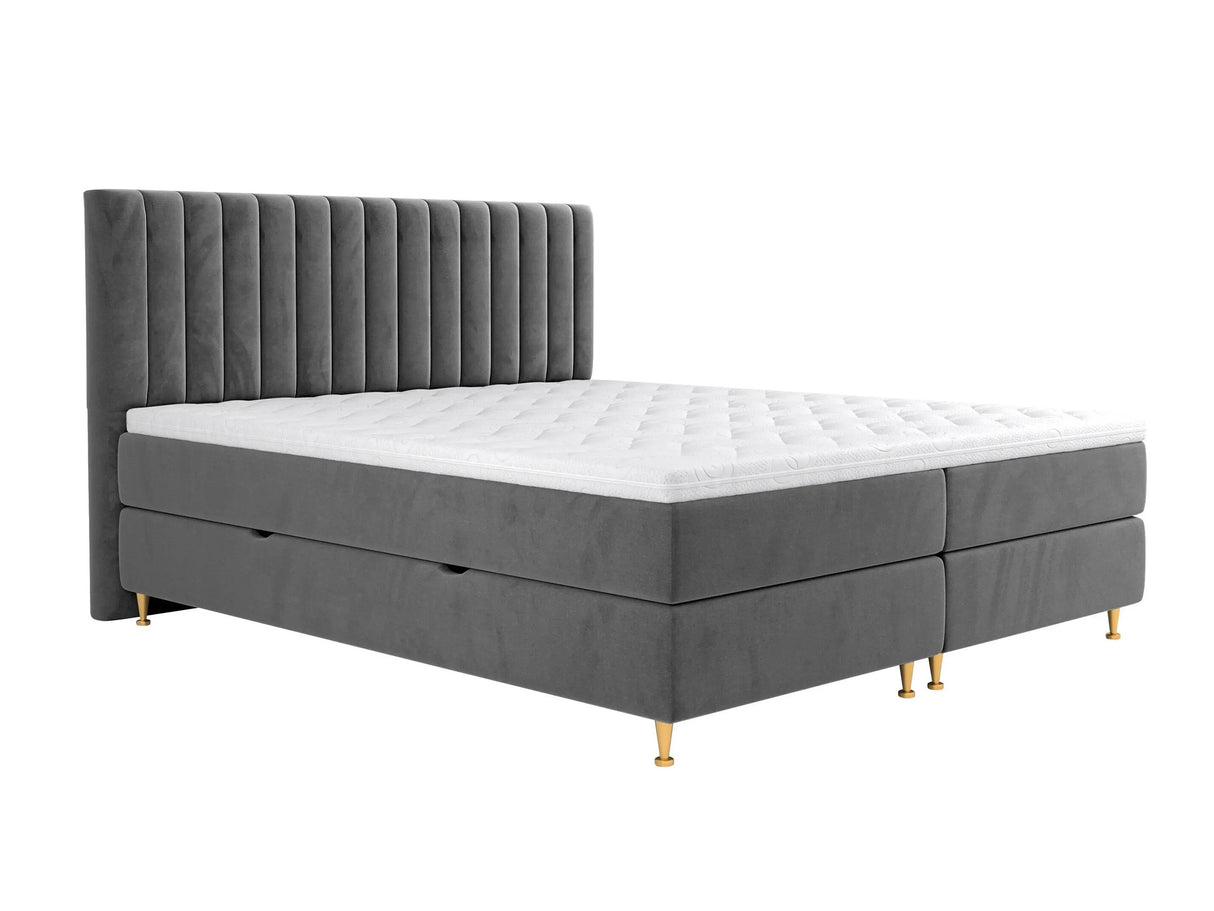 Continental lova 294981 4796789