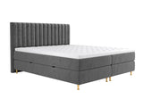Continental lova 294981 4796789