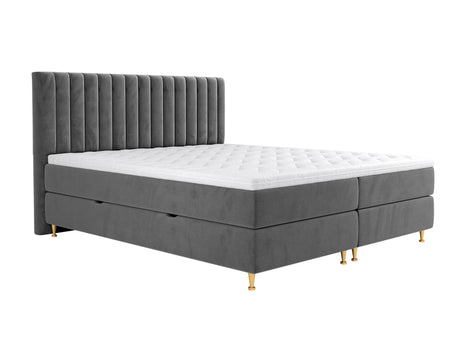 Continental lova 294981 4796789