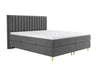 Continental lova 294981 4796789