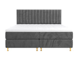 Continental lova 294981 4796790