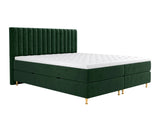 Continental lova 294981 4796809
