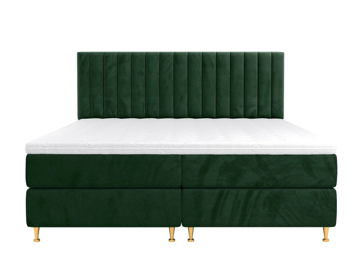 Continental lova 294981 4796813