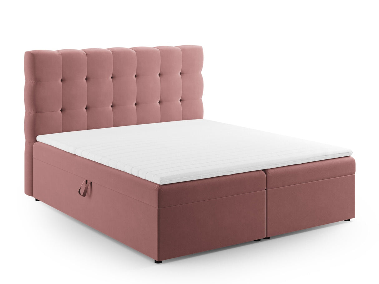 Continental lova 663568