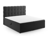 Continental lova 663568