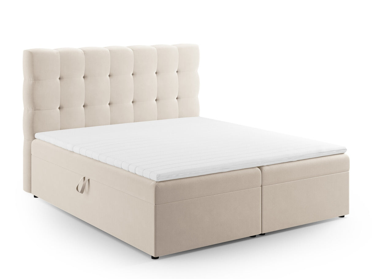 Continental lova 663568