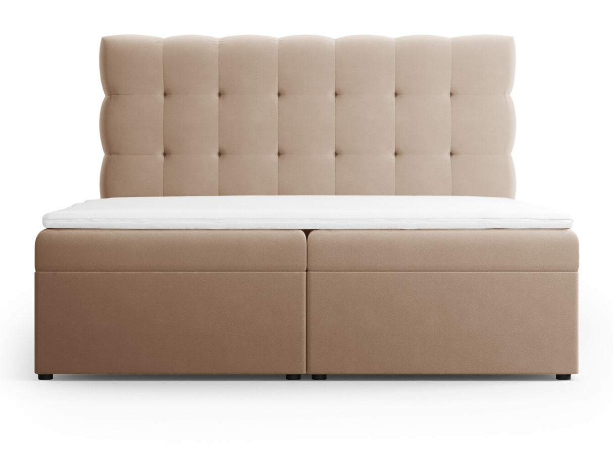 Continental lova 663568