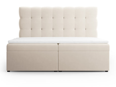 Continental lova 663568