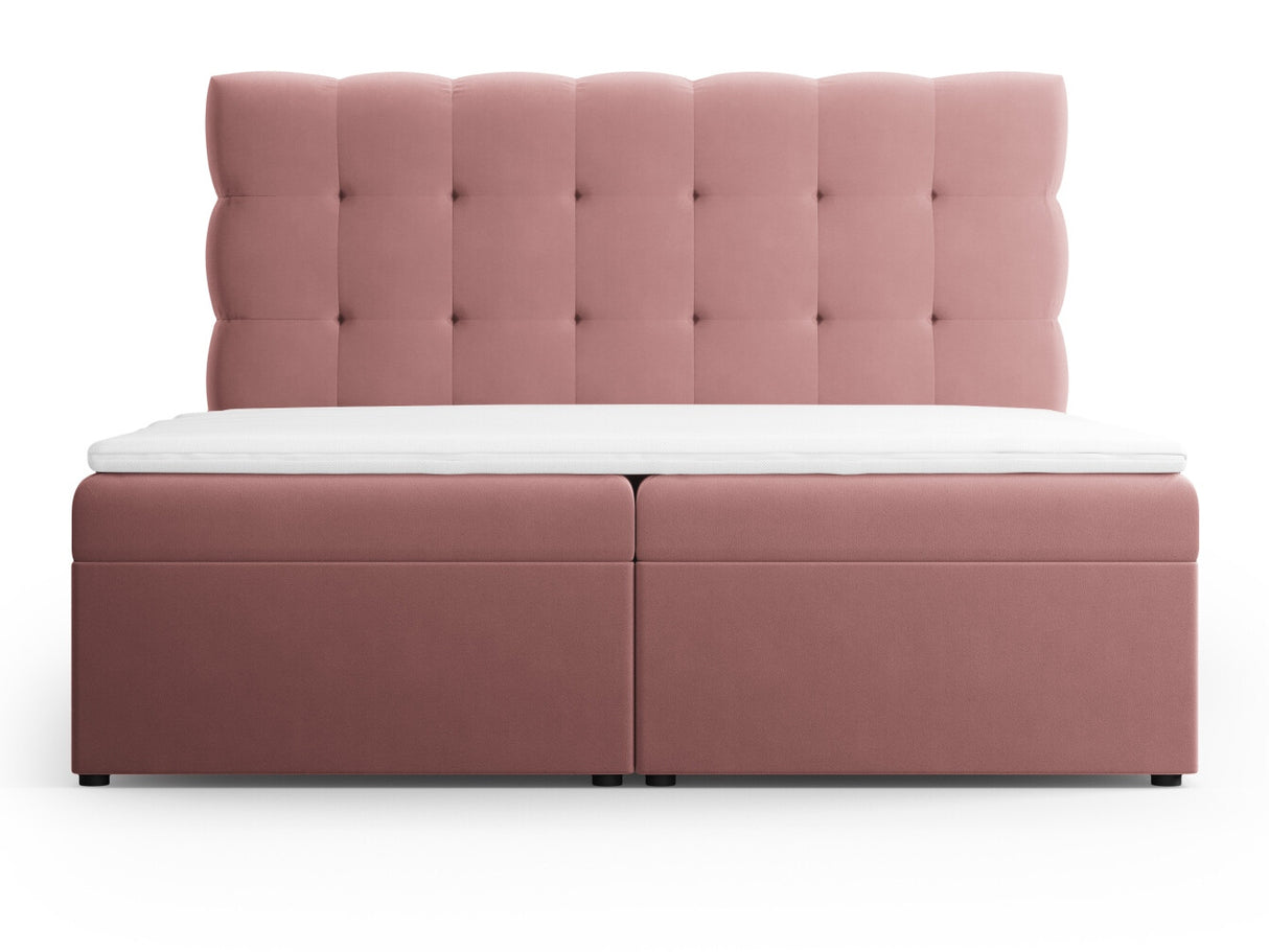 Continental lova 663568