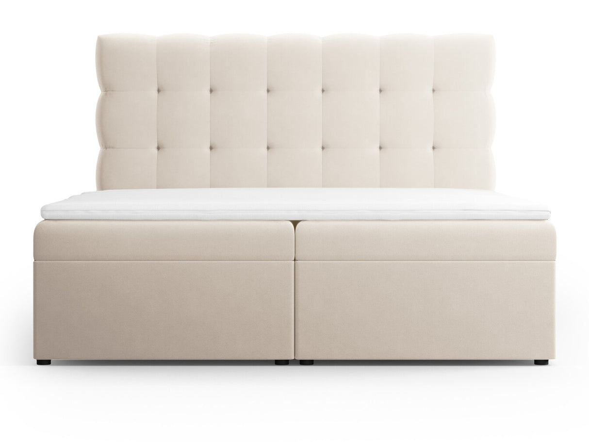 Continental lova 663568