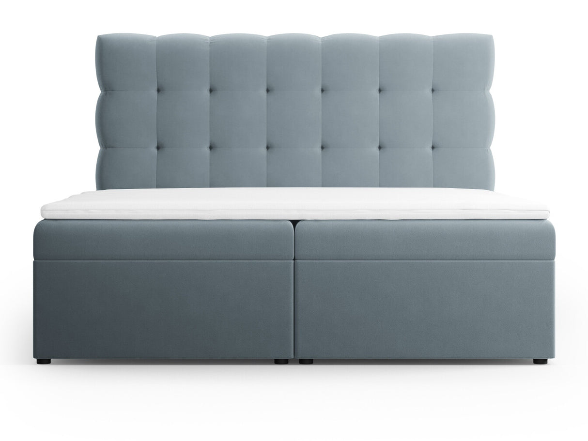 Continental lova 663568