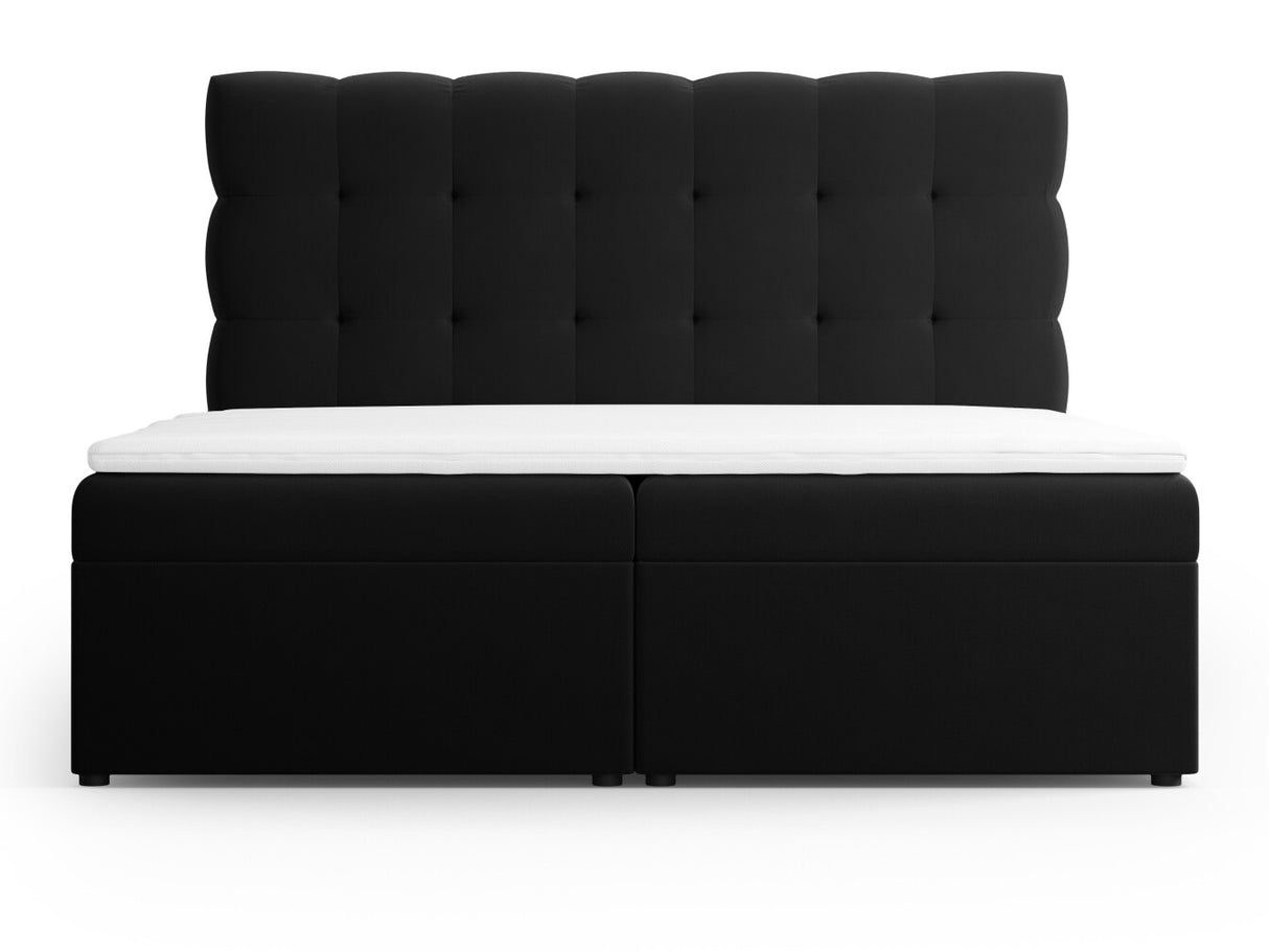 Continental lova 663568